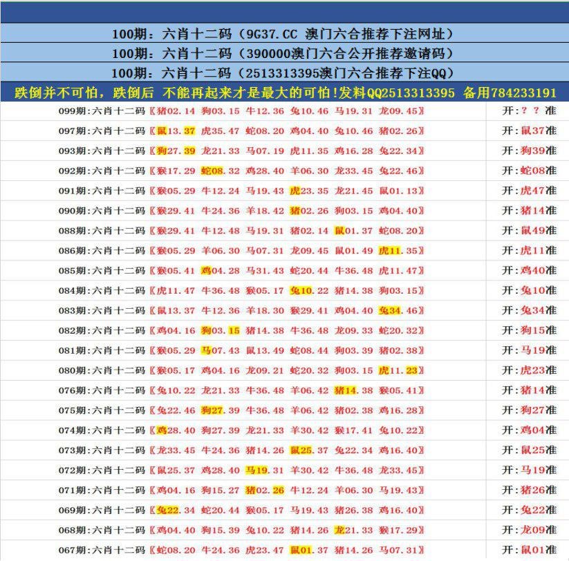 澳门最精准资料马,豪华精英版79.26.45-江GO121,127.13