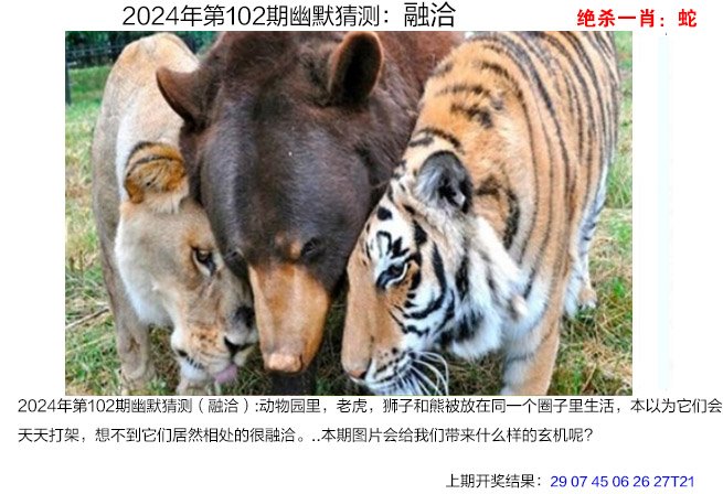 2024新澳门资料免费长期,数据整合方案实施_投资版121,127.13