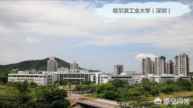 2021年澳门资料大全正版资料354