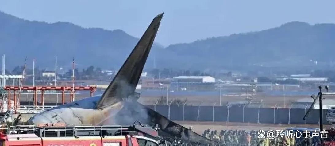 韩国发生飞机坠毁,韩国发生飞机坠毁事件