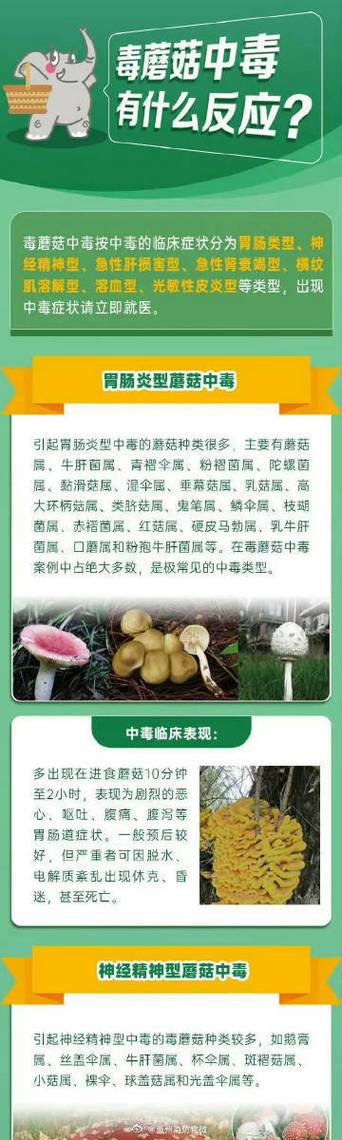 一家6口吃蘑菇中毒,一家六口吃蘑菇中毒