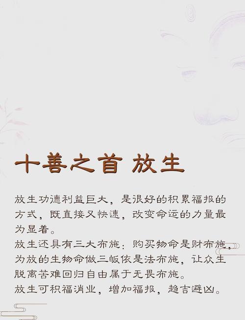 放生2.5万斤外来鲇鱼,放生鲇鱼的功德