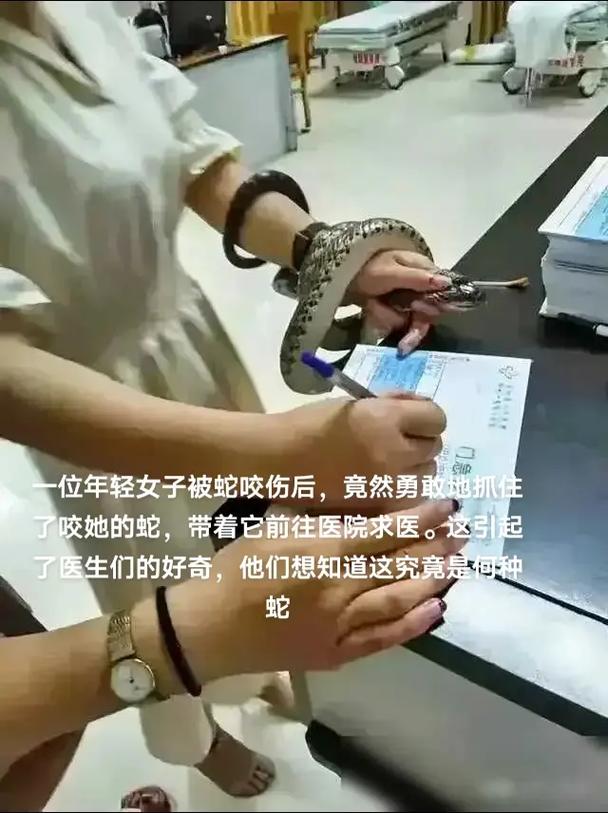 被蛇咬反抓蛇再遭咬,被蛇咬反抓蛇再遭咬伤